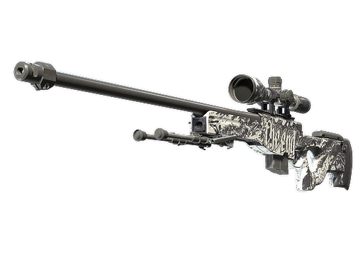 AWP | The End (Well-Worn)