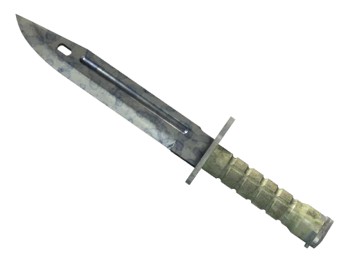 ★ Bayonet | Stained (Well-Worn)