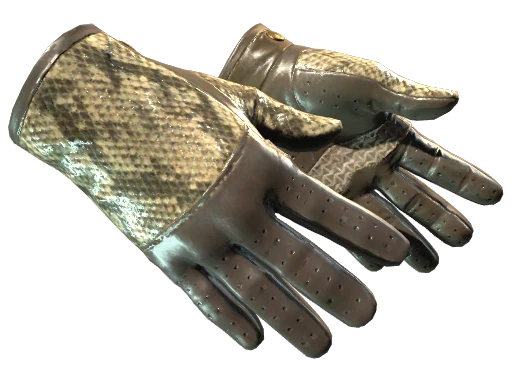 ★ Driver Gloves | Diamondback (Usura minima)
