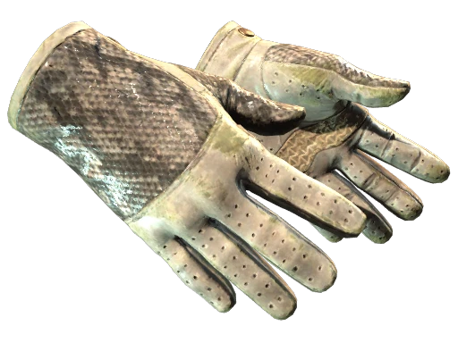 ★ Driver Gloves | King Snake (Marqué par la bataille)