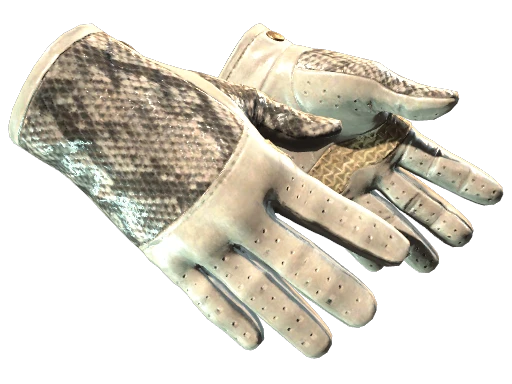 ★ Driver Gloves | King Snake (Nuovo di fabbrica)