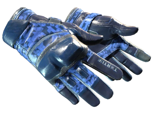 โ
Moto Gloves | Polygon (Well-Worn)