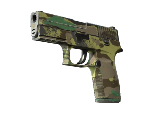 P250 | Boreal Forest (Well-Worn)