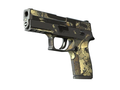 P250 | Contamination (Kampfgeschädigt)