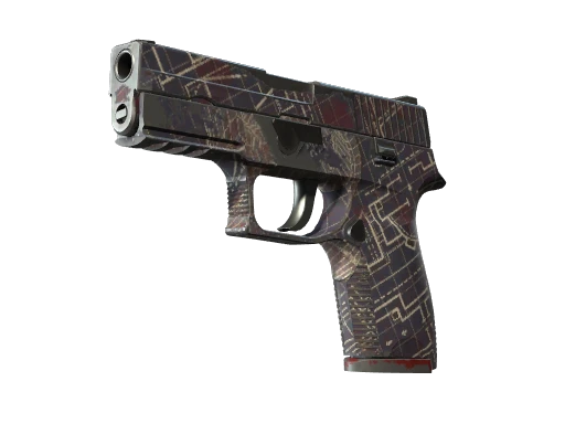 P250 | Facility Draft (Probado en Campo)