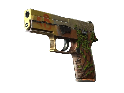 P250 | Inferno (Well-Worn)