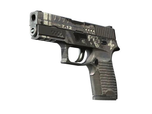 P250 | Re.built (Marqué par la bataille)