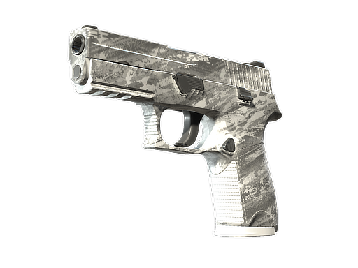 P250 | Sleet (Fabrycznie Nowy)