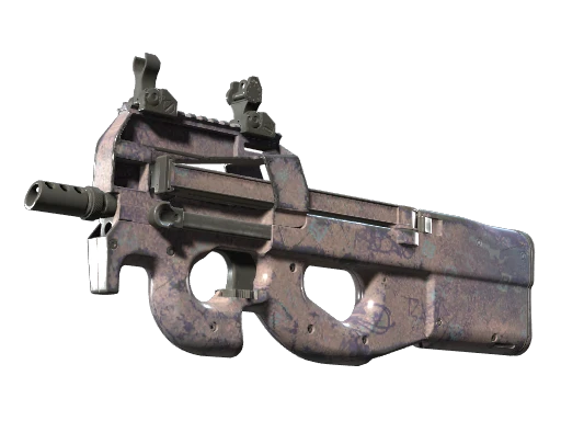 P90 | Wash me (Feldgetestet)