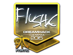 Наліпка | flusha (лискуча) | Клуж-Напока 2015