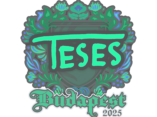 印花 | TeSeS | 2025年布达佩斯锦标赛