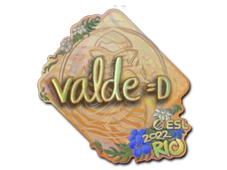 Çıkartma | v4lde (Holo) | Rio 2022